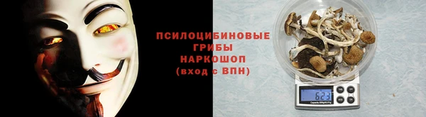стафф Балахна