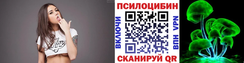 магазин продажи наркотиков  Боготол  Псилоцибиновые грибы Psilocybe 